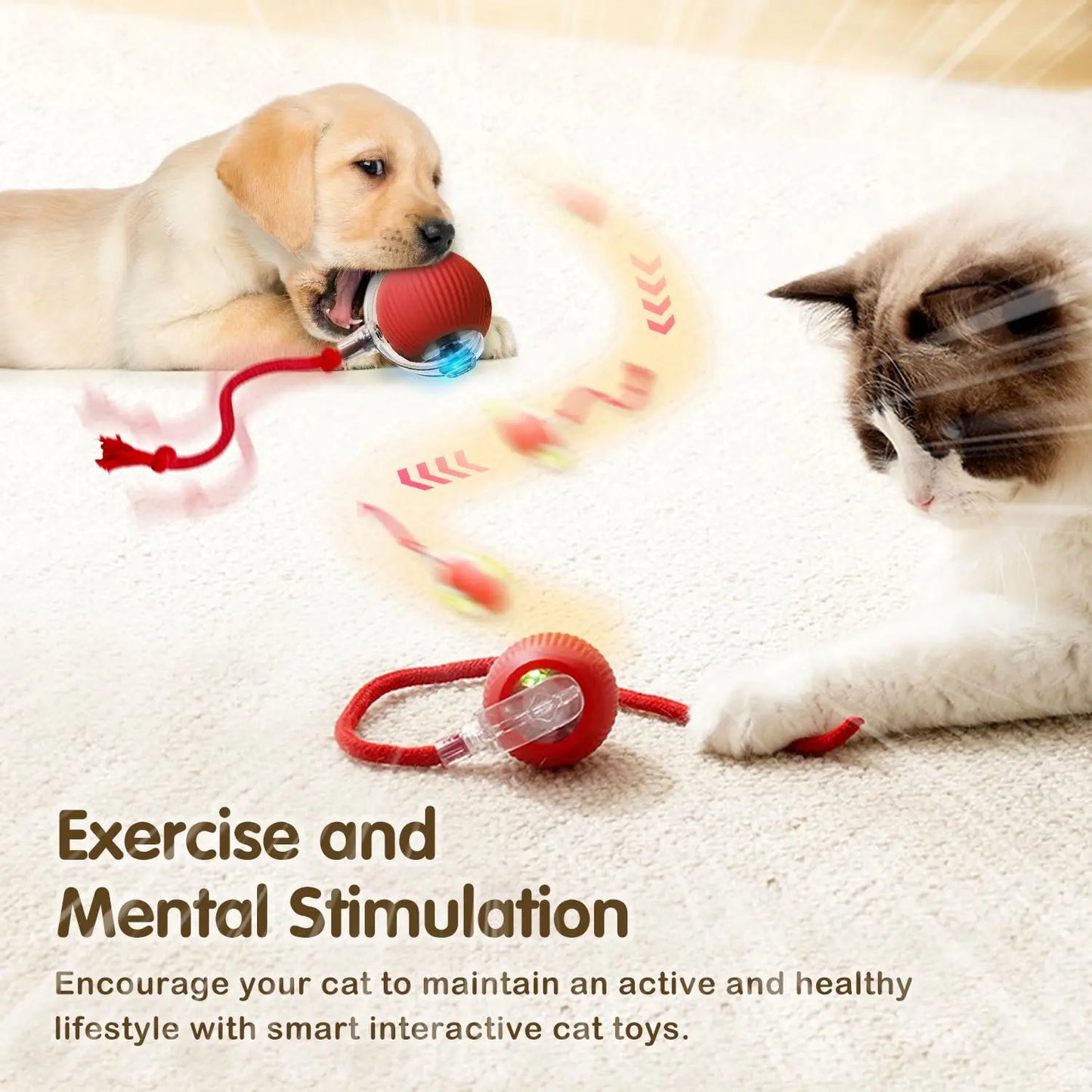 SmartPlay Pet Ball™
