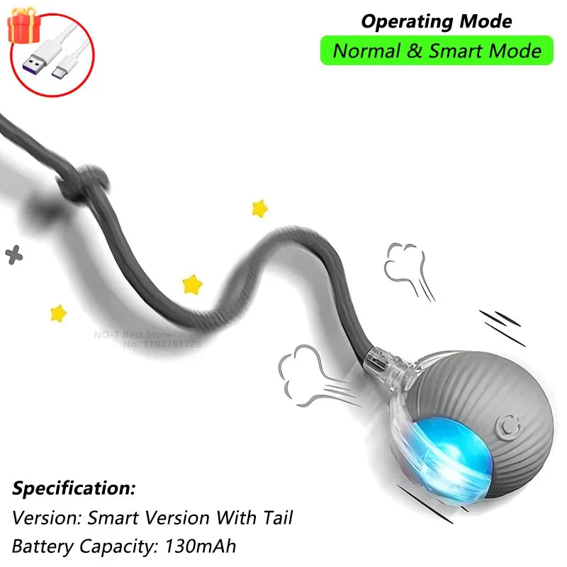 SmartPlay Pet Ball™