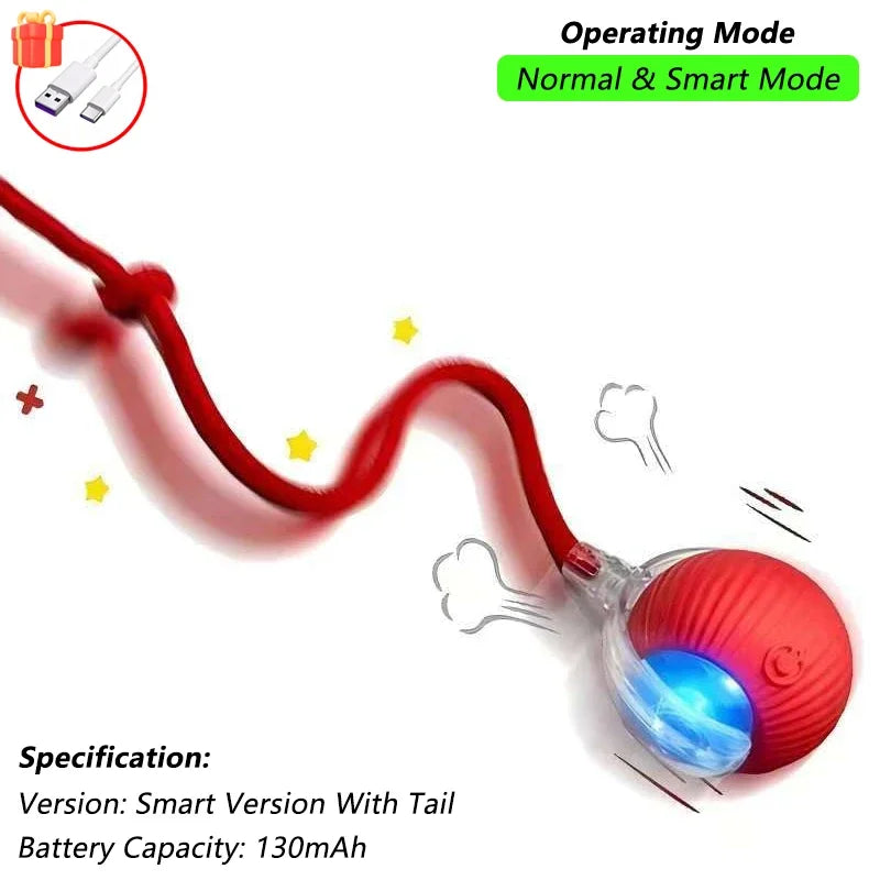 SmartPlay Pet Ball™