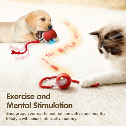 SmartPlay Pet Ball™