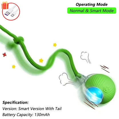 SmartPlay Pet Ball™
