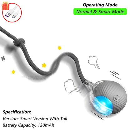 SmartPlay Pet Ball™